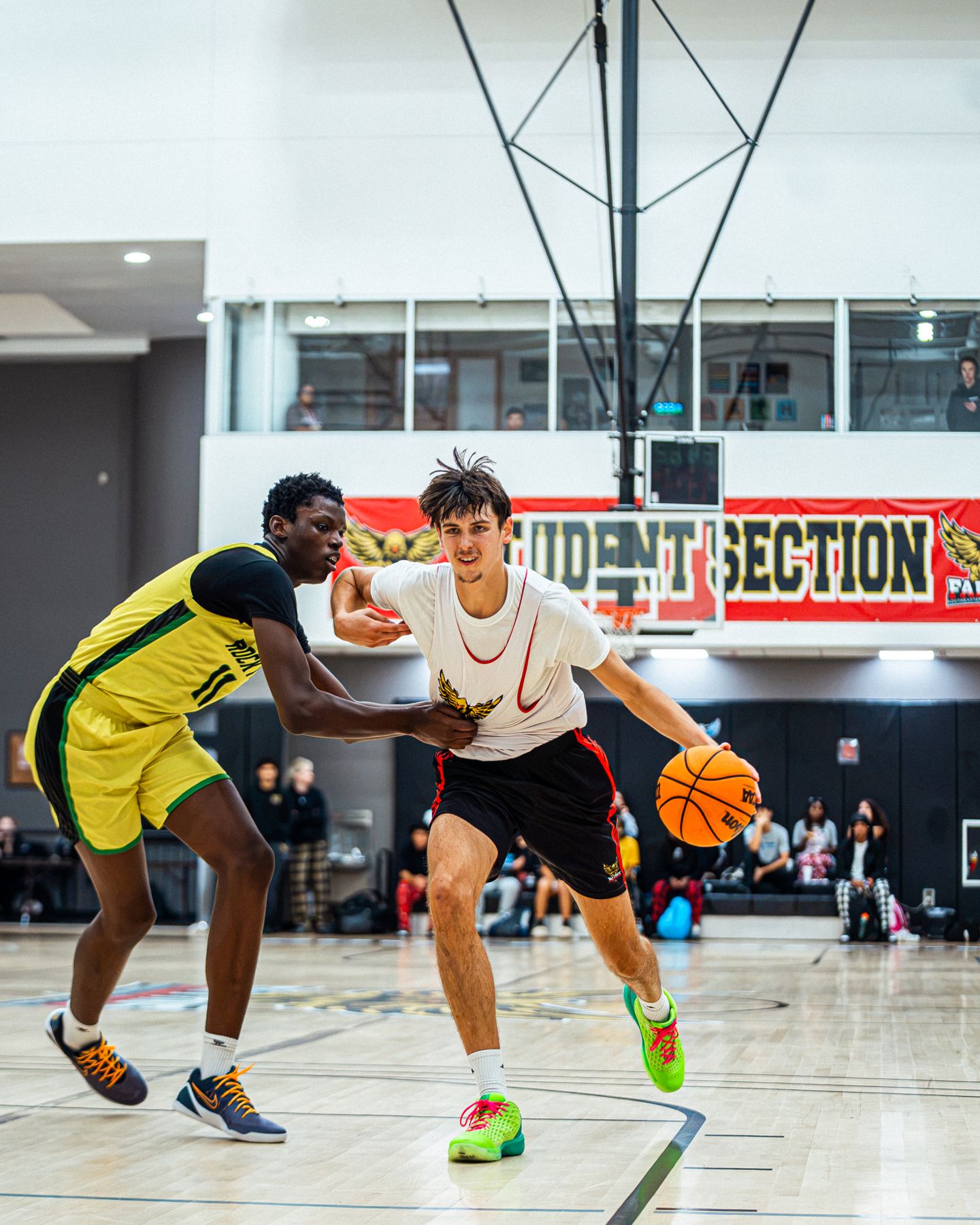 Scholes scores 27 as Falcons top Rocktop White 103–65